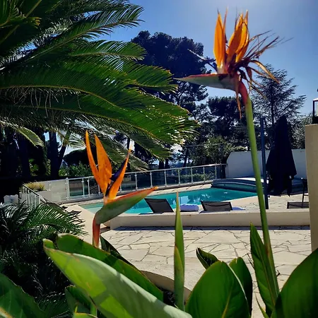 Vue A Classee 4 Etoiles-piscine Chauffee *